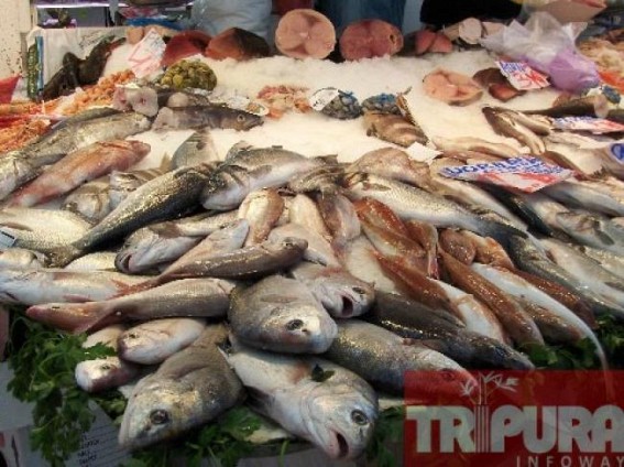 Hilsa sold at Rs. 1, 500 per Kilogram on the day of Dashami